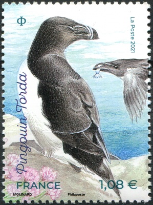 Франция. 2021. Бескрылая гагарка (Pinguinus torda) (Почтовая марка. MNH OG)