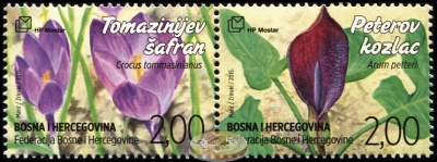 Босния и Герцеговина. 2015. Шафран Томазини и Аронник (Сцепка. MNH OG)