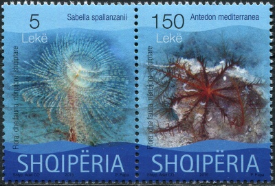 Албания. 2015. Морская жизнь (Сцепка. MNH OG)
