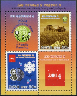 КНДР. 2014. Международный год крестьянских семейных ферм и кристаллографии (Блок. MNH OG)