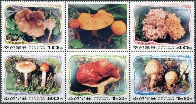 КНДР. 2002. Грибы в горах Пэктусан (Сцепка. MNH OG)