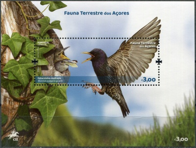 Азорские острова. 2023. Азорский скворец (Sturnus vulgaris granti) (Почтовый блок. MNH OG)