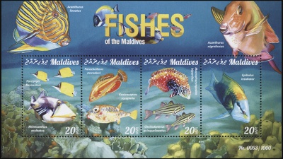 Мальдивы. 2015. Рыбы Мальдив 2 (М.Лист. MNH OG)