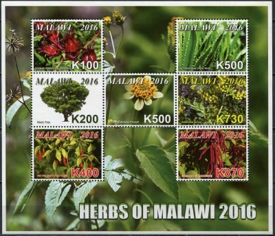 Малави. 2016. Травы Малави (Малый лист. MNH OG)