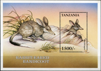 Танзания. 1999. Кроличий бандикут (Блок. MNH OG)