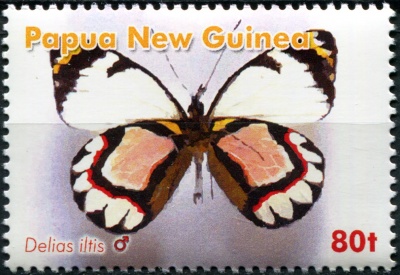 Папуа Новая Гвинея. 2006. Бабочка белянка (Почтовая марка. MNH OG)