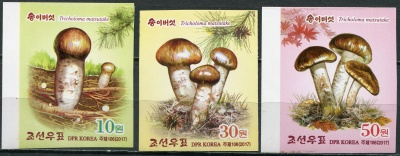 КНДР. 2017. Грибы Мацутакэ (Серия Почтовых марок. MNH OG. Неперфорированная)