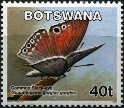 Ботсвана. 2007. Бабочки: Чёрный глаз (Gonatomyrina gorgias gorgias) (Почтовая марка. MNH OG)