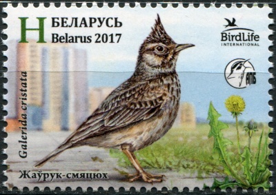 Беларусь. 2017. Хохлатый жаворонок (Почтовая марка. MNH OG)