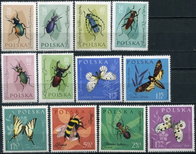 Польша. 1961. Насекомые (Серия. MNH OG)