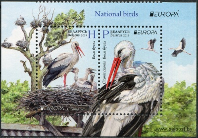 Беларусь. 2019. Белый аист (Ciconia ciconia) (I) (Сцепка. MNH OG)