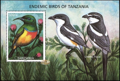 Танзания. 2006. Эндемичные птицы Танзании (Блок. MNH OG)