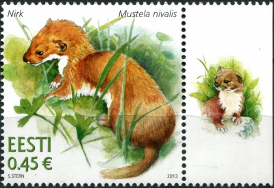 Эстония. 2013. Хорек (Mustela nivalis) (I) (Почтовая марка. MNH OG)