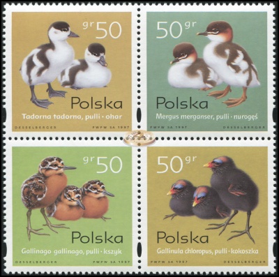 Польша. 1997. Птенцы домашней птицы (Квартблок. MNH OG)