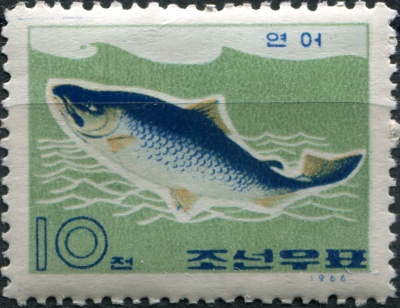 КНДР. 1966. Кета (Oncorhynchus keta) (Почтовая марка. MNH OG)