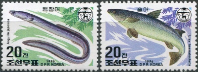 КНДР. 1996. Пресноводная рыба (Серия Почтовых марок. MNH OG)