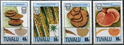 Тувалу. 1988. Грибы (Серия. MNH OG)