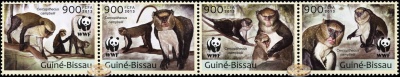 Гвинея-Биссау. 2013. Мартышка Кемпбелла [Cercopithecus campbelli] (Сцепка. MNH OG)
