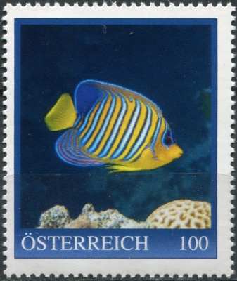 Австрия. 2023. Королевская рыба-ангел (Pygoplites diacanthus) (Почтовая марка. MNH OG)