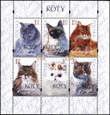 Польша. 2010. Кошки (Малый лист. MNH OG)