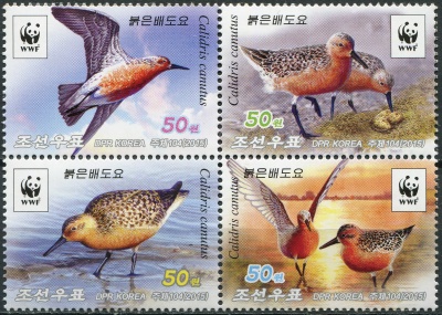 КНДР. 2015. Исландский песочник (Calidris canutus) (Квартблок. MNH OG)