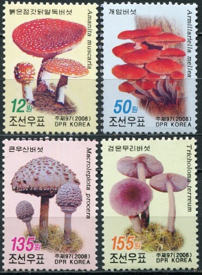 КНДР. 2008. Грибы (Серия Почтовых марок. MNH OG)