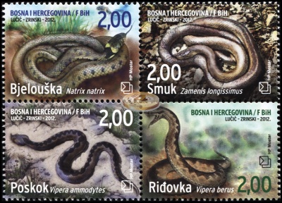 Босния и Герцеговина. 2012. Змеи Боснии и Герцеговины (Квартблок. MNH OG)