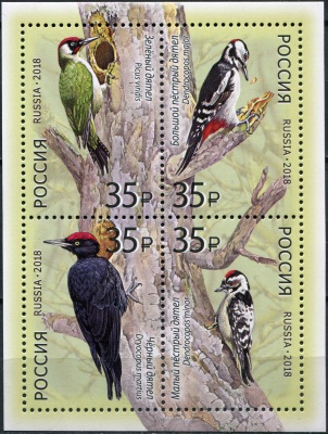 Россия. 2018. Дятлы (Блок. MNH OG)
