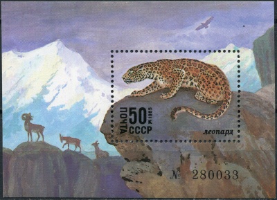 СССР. 1985. Ирбис (Panthera uncia) (Блок. MNH OG)