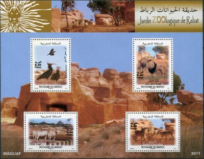 Марокко. 2011. Животные из зоопарка Рабат (Блок. MNH OG)