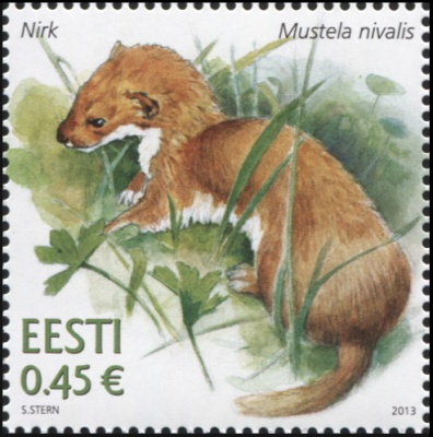 Эстония. 2013. Хорек (Mustela nivalis) (Почтовая марка. MNH OG)