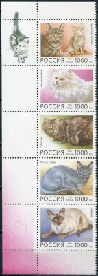 Россия. 1996. Породы кошек (I) (Сцепка. MNH OG)