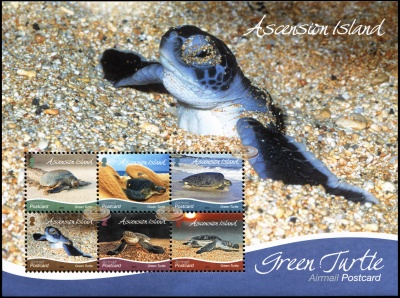 Остров Вознесения. 2015. Зеленая черепаха [Chelonia mydas] (Блок. MNH OG)