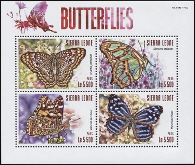Сьерра-Леоне. 2015. Бабочки (М.Лист. MNH OG)