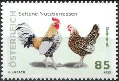 Австрия. 2022. Редкие породы домашнего скота. Steinhendl (Почтовая марка. MNH OG)