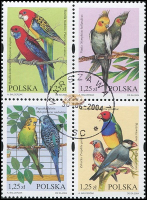 Польша. 2004. Экзотические породистые птицы (Квартблок. CTO Гашеная)