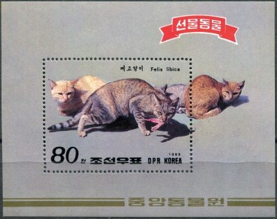 КНДР. 1989. Африканская дикая кошка (Felis silvestris lybica) (Почтовый блок. MNH OG)