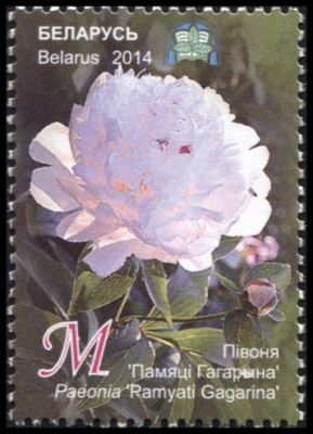 Беларусь. 2014. Пион "Памяти Гагарина" (Почтовая марка. MNH OG)