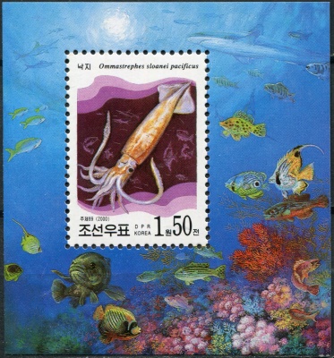 КНДР. 2000. Тихоокеанский кальмар (Ommastrephes sloanei pacificus) (Блок. MNH OG)