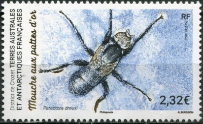 ФЮАТ. 2023. Златоногая муха (Paractora dreuxi) (Почтовая марка. MNH OG)
