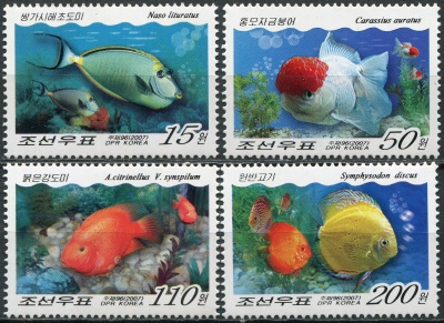 КНДР. 2007. Рыбы (Серия Почтовых марок. MNH OG)