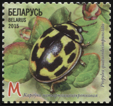Беларусь. 2015. Коровка четырнадцатиточечная (Почтовая марка. MNH OG)