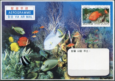 КНДР. 2007. Рыбы (Аэрограмма. Mint)