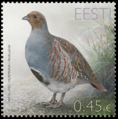 Эстония. 2013. Серая куропатка (Perdix perdix) (Почтовая марка. MNH OG)