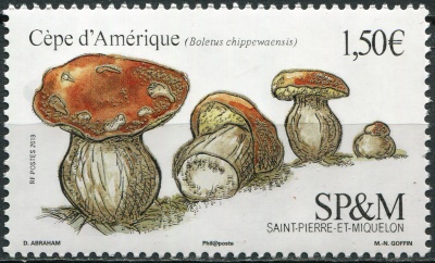 Сен-Пьер и Микелон. 2019. Белый гриб (Boletus chippewaensis) (Почтовая марка. MNH OG)