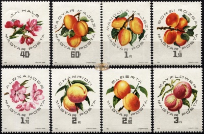 Венгрия. 1964. Национальная выставка персиков (Серия. MNH OG)