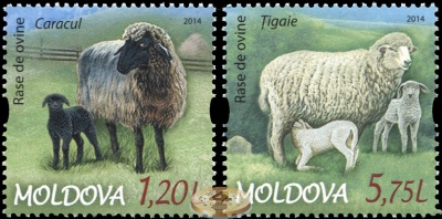 Молдова. 2014. Породы овец (Серия. MNH OG)