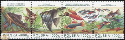 Польша. 1994. Аквариумные рыбы (Сцепка. MNH OG)