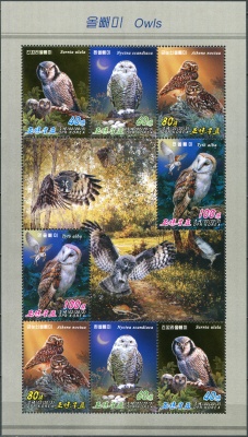КНДР. 2013. Совы (Малый лист. MNH OG)