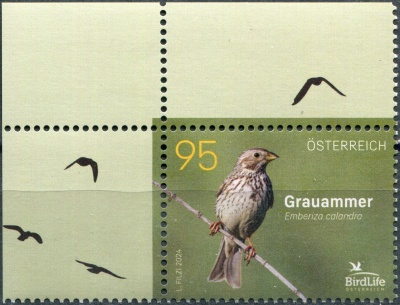 Австрия. 2024. Просянка (Emberiza calandra) (III) (Почтовая марка. MNH OG)